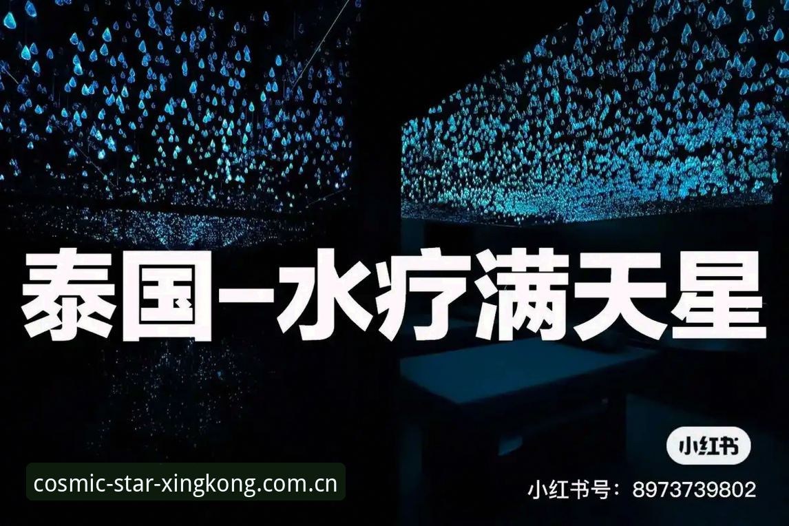 资深用户分享：星空体育中国官网使用心得与实战经验