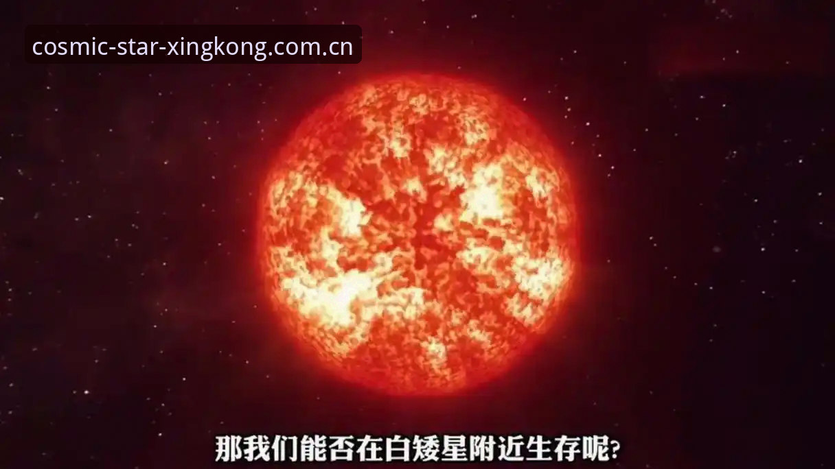 星空体育最新版下载对比：5个关键维度帮你快速决策